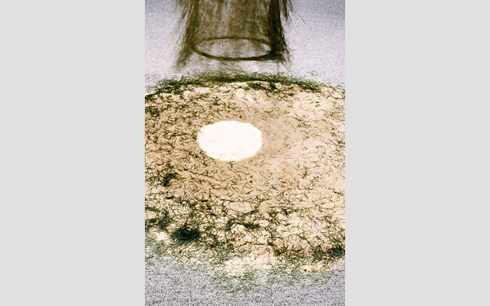 Arboretum Arborescence | Floor projection, 2002
